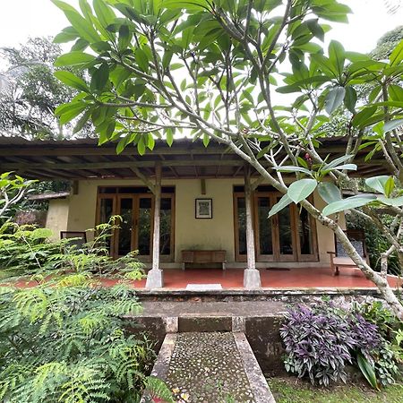ג'טילווי Carik Tangis Boutique Homestay מראה חיצוני תמונה