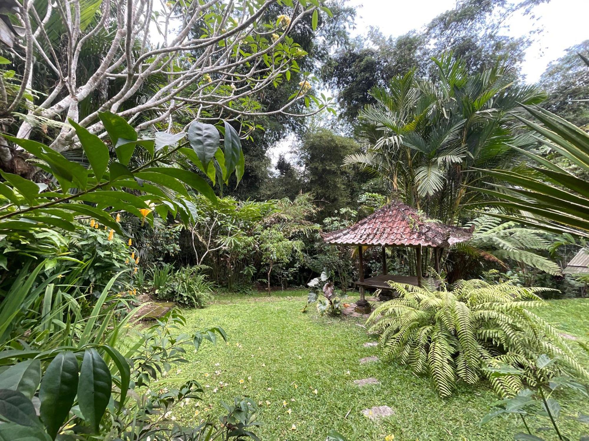 ג'טילווי Carik Tangis Boutique Homestay מראה חיצוני תמונה