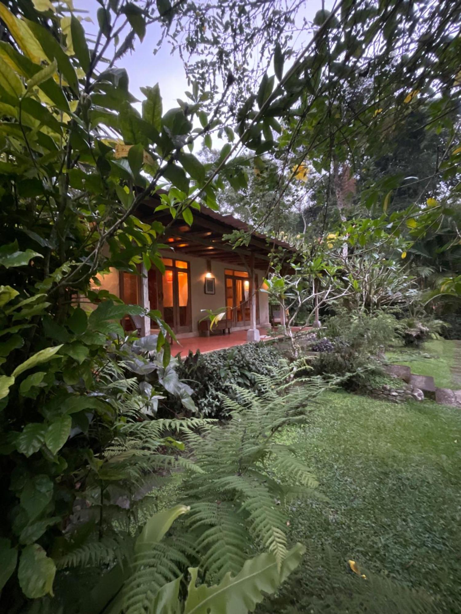 ג'טילווי Carik Tangis Boutique Homestay מראה חיצוני תמונה